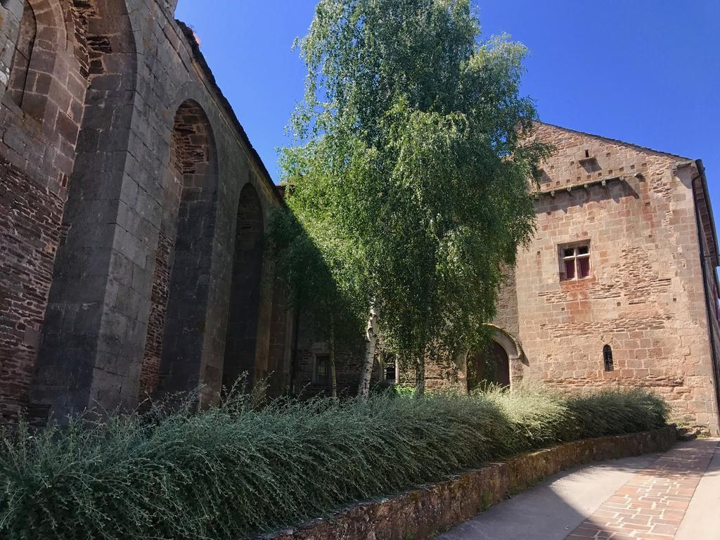 La Petite Maison Des Artistes Castelnau-Pégayrols Habitación foto